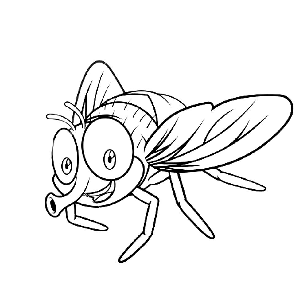 Раскраска насекомые Муха