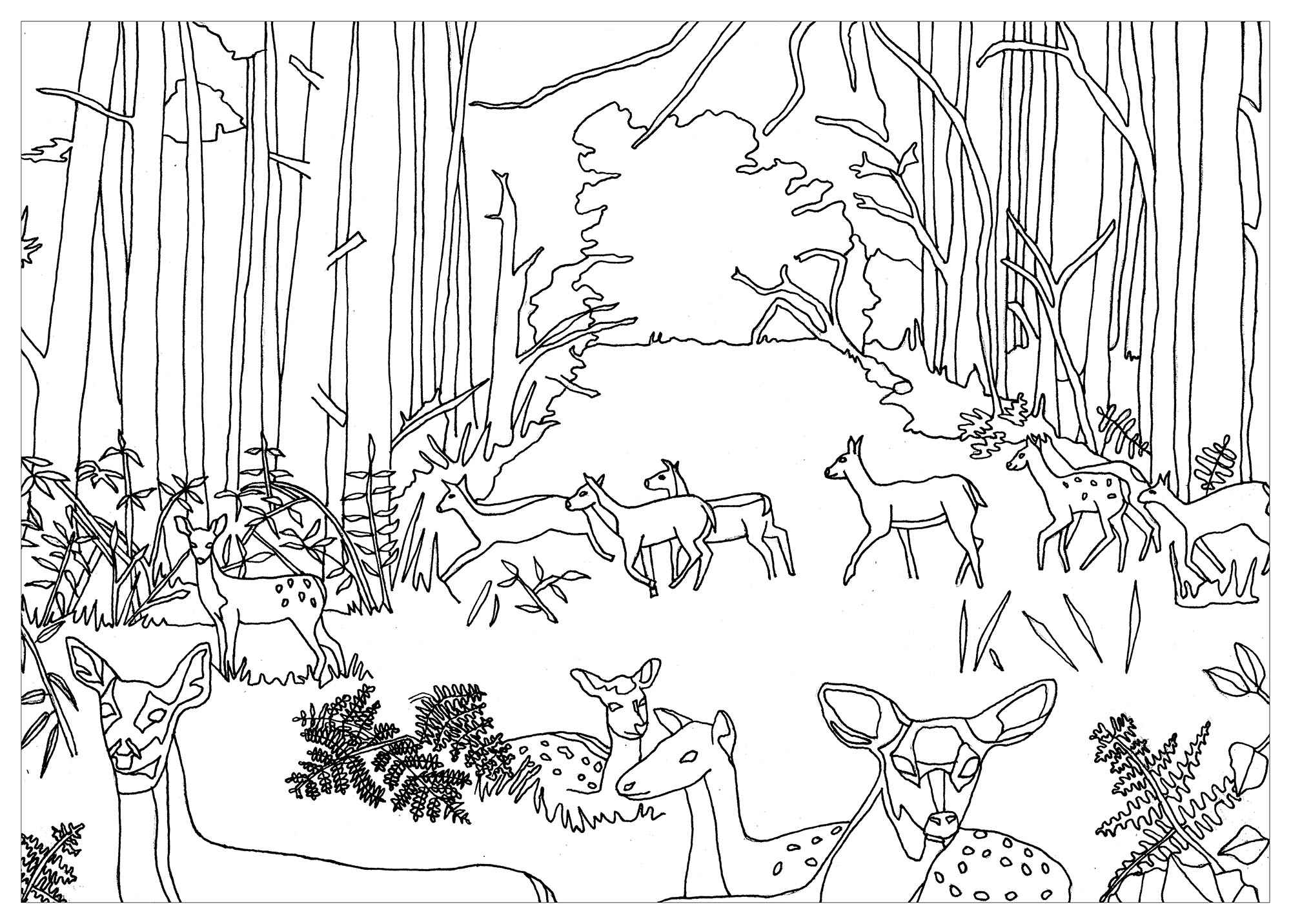 Картинки лес распечатать. В лесу. Раскраска. Лес раскраска для детей. Раскраска звери в лесу. Раскраска Лесные звери в лесу.