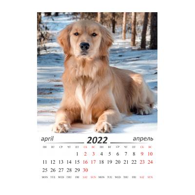 Календарь с собаками на 2022 год - распечатать, скачать бесплатно