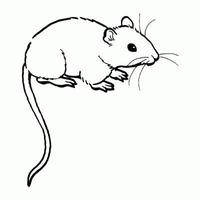  Распечатать раскраску с мышкой