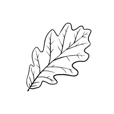 Древесный лист