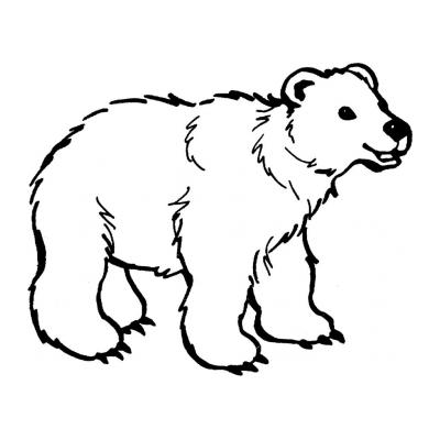  Раскраска с медведем