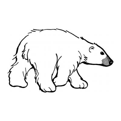 Грозных Медведь