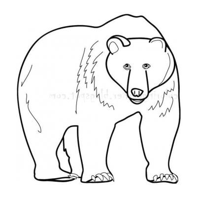  Раскраска с медведем