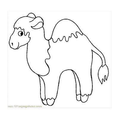  Верблюд - раскраска для детей