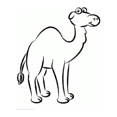  Красивый верблюд