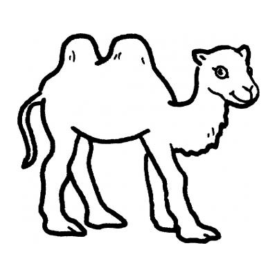  Верблюд - рисунок для раскрашивания