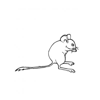  Мышка - раскраска для детей