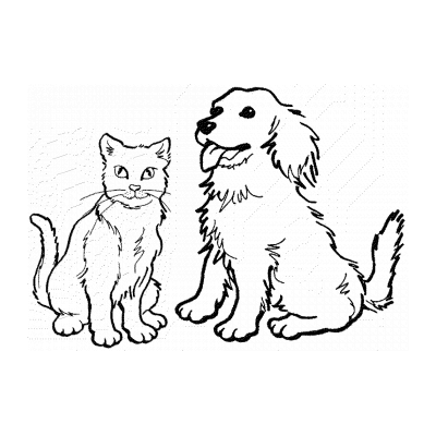 Раскраска кошка с собакой