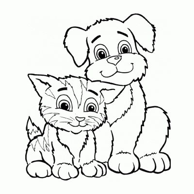Кошка и собака вместе