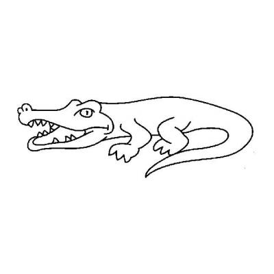  Крокодил - раскраска для детей