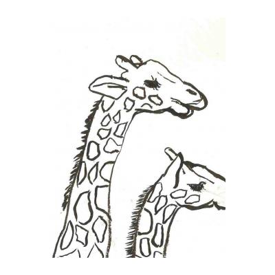  Длинноногий жираф