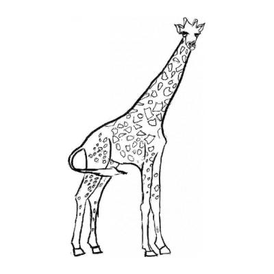  Добрый жираф