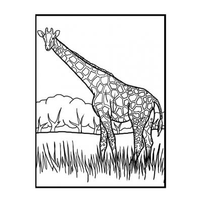  Жираф - раскраска для детей