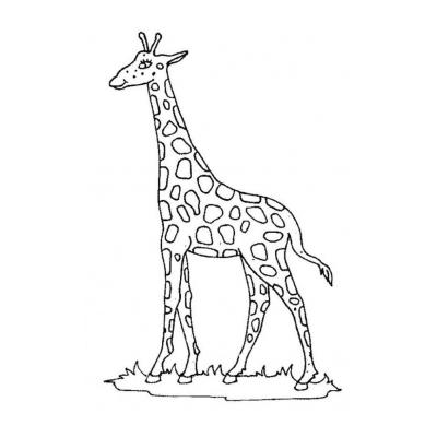  Добрый жираф