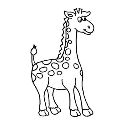  У жирафа длинная шея