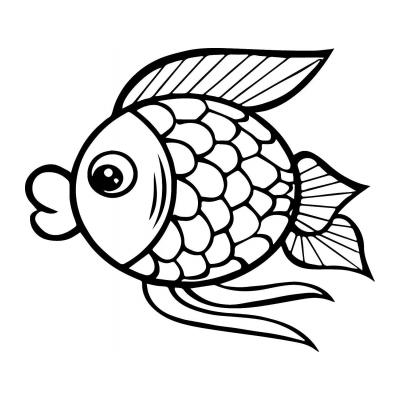 Раскраски Золотая рыбка - распечатать, скачать бесплатно