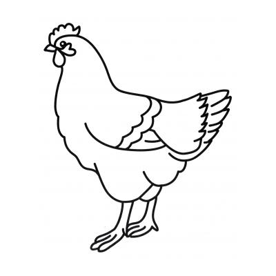  Раскраска курица