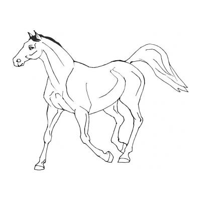  Раскраска Лошадь