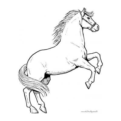  Распечатать раскраску с лошадью