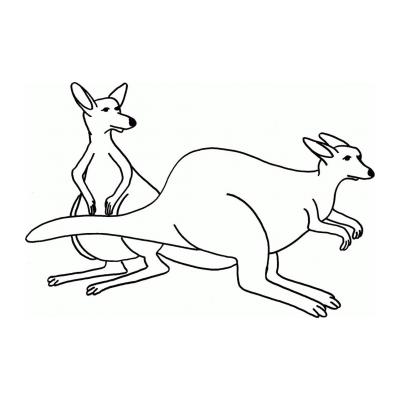  Раскрасить кенгуру