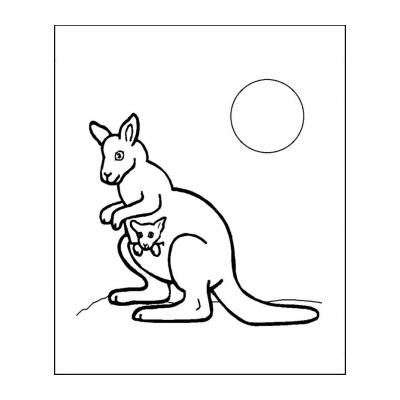  Кенгуру - сумчатое животное