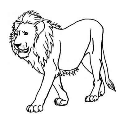  Раскрасить льва