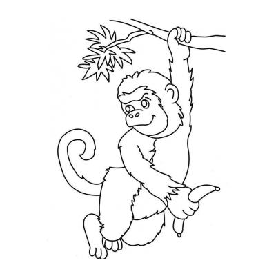  Как раскрасить обезьяну