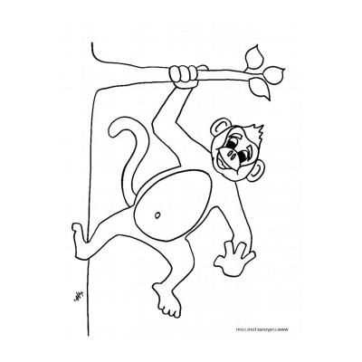  Картинка с обезьяной