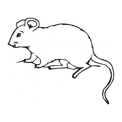  Распечатать раскраску с мышкой