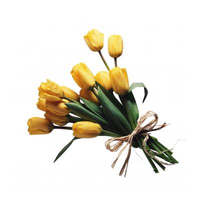 Открытки с тюльпанами на 8 марта - распечатать, скачать бесплатно