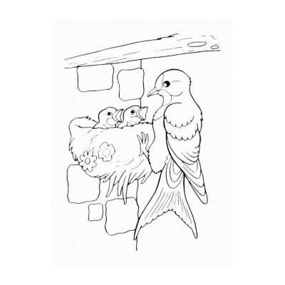 Раскраски перелетные птицы (с названиями) - распечатать, скачать бесплатно