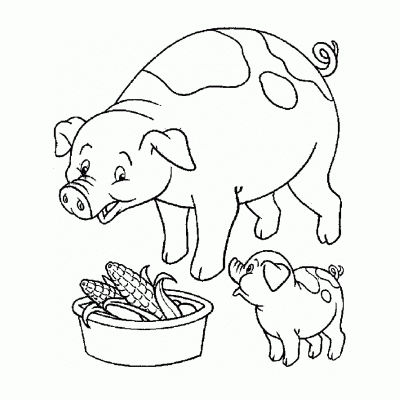  Раскраска со свиньей
