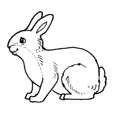  Пасхальный кролик