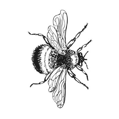 Раскраски Пчела - распечатать, скачать бесплатно