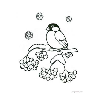 Зимующие птицы - раскраска для детей - распечатать, скачать бесплатно