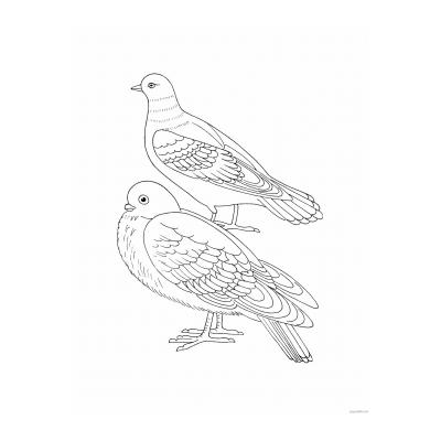 Зимующие птицы - раскраска для детей - распечатать, скачать бесплатно