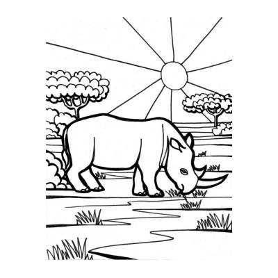 Носорог большой зверь