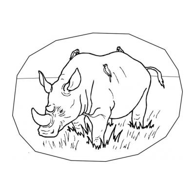  Носорог для детей