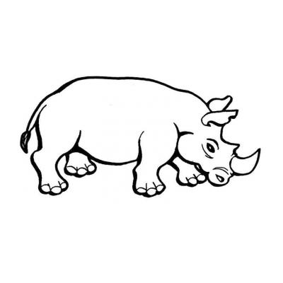  Милый носорог