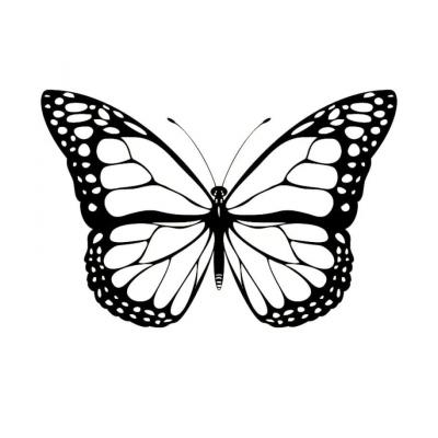 Трафарет бабочки 