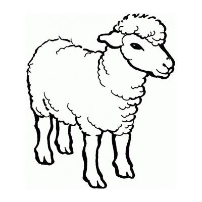  Милая овечка
