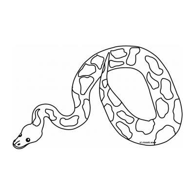  Змея - раскраска для детей