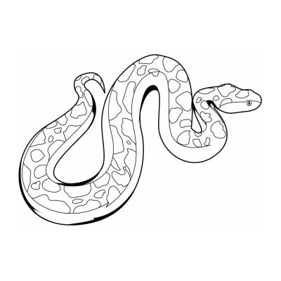  Как раскрасить змею