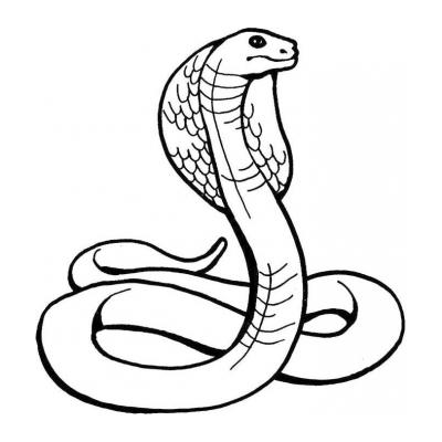  Опасная змея