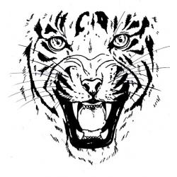  трафарет тигренка для рисования