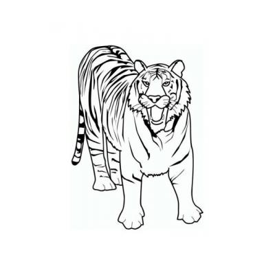  трафарет тигра для рисования на стекле