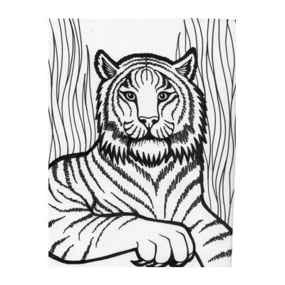  Тигр - раскраска для детей
