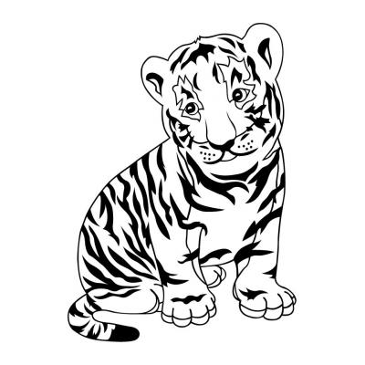  Красавец тигр