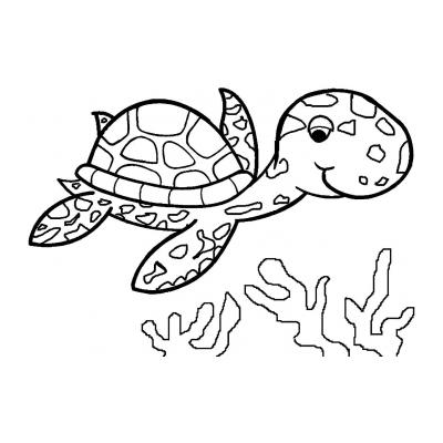  Веселая черепаха